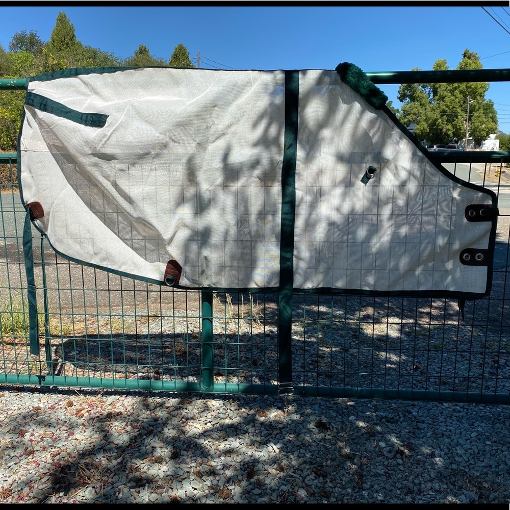 Brand new horse fly sheet!🦟🚫